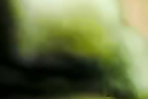 Cute Malay girlfriend with curly muff drilled on real homemade