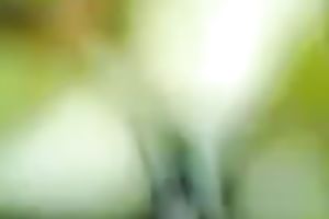 Cute Malay girlfriend with curly muff drilled on real homemade