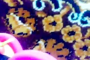 Watch me rubbing my pedicured feet against every other