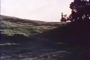 Filthy dark brown wifey got her curly muff team-fucked in mish pose