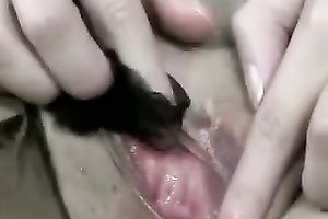 Svelte hottie rips her hose in order to masturbate