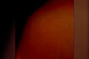 Classy good gazoo floozy is riding on my knob like a cowgirl