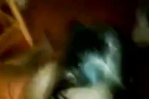 Incredibly spoiled doxy sucks my appealing penis like a champ