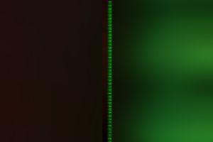 My hot dark-haired fuckbuddy pleases me with a terrific oral job