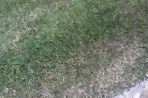 I love my girlfriend's wonderful large wazoo and so does this babe