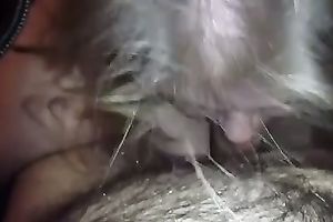 My large boobed girl sucks each inch of my rock hard dong