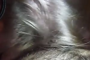 My large boobed girl sucks each inch of my rock hard dong