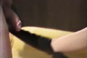 Hot FFM hammering with 2 black head hootchies and one fuck starving fellow