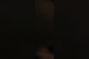 Hot Asian playgirl with small pantoons engulf weenie by her hot miniature throat