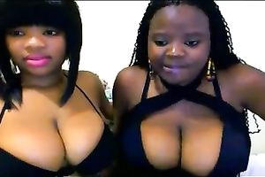 Two buxomy ebon nymphos are showing off their large boobies