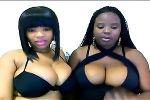 Two buxomy ebon nymphos are showing off their large boobies