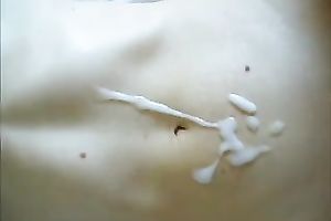 My housewife gives hand to me and lets me cum on her stomach