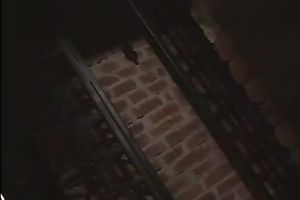 Hot and skinny brunette hair chick gets it in her tight a-hole gap