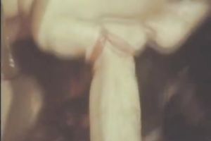 Sandy haired bitchy gal receives fantastic spoon style loped