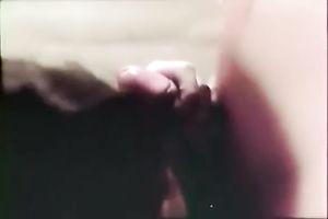 Brunette pippin gives some great oral-sex to a attractive stud