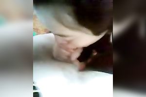 This hooker is at no time shy giving head in front of the camera