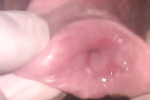 Trashy hoochie lets her paramour examine her swollen twat