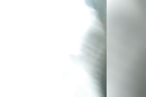 I think those sweethearts do not like wearing pants in summer