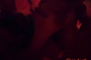 Sexually pleasuring several studs at one time in front of a camera