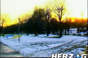 Majestic classic dark brown seduces 3 males for foursome