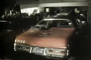 Two angels share one white hard weenie with great greediness