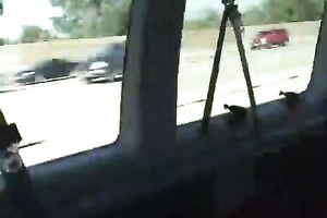 Bewitchingly glamorous chick gives hawt BJ to her guy in a van