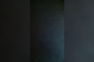 Ebony hooker sucks my rock hard knob like a real pro