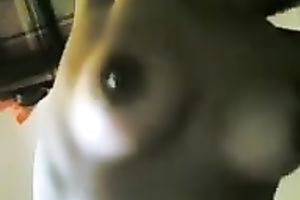 One thing led to one more and we ended up fucking in front of the camera