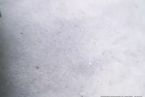 Dark-haired bitch receives her love tunnel team-fucked unfathomable in a car