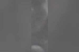 My lascivious girlfriend knows how to give a wonderful oral-sex