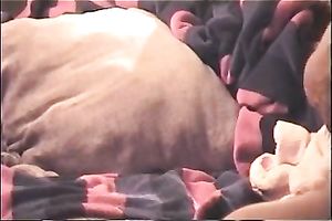 Fat harlot in glasses sucks my moist wang like there is no the next day