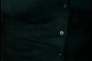 My supplementary wicked ally shows me what her giant marangos look like