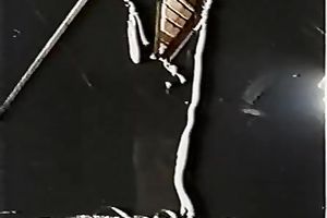 Hot retro vid with a golden-haired mamma getting screwed in the missionary pose