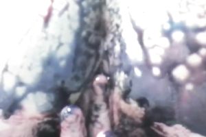 Curly-haired non-professional golden-haired smears her body with paint indoors