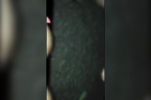 My svelte Latina girlfriend likes riding my dong in cowgirl position