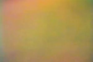 My chunky husband sucks my BBC in advance of taking a ride on it