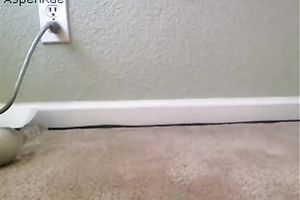 Tasty looking dark brown whore presents greatly hard masturabtion