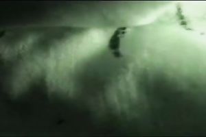 Asian harlot is slutty about the idea of having sex in front of a camera