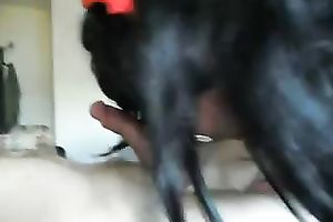 Ugly Paula sucking large ramrod of her fresh ally