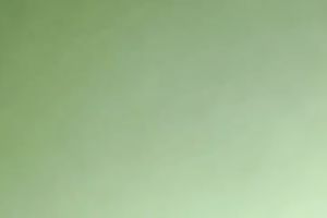 big beautiful woman bitch is lazily engulfing my dick in front of a camera