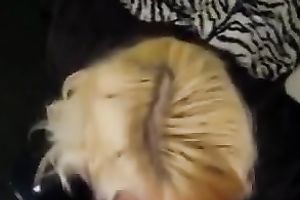 Blonde slut with weird makeup milks my prick dry in her face hole