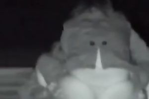 My lewd girlfriend is a biggest fan of missionary position