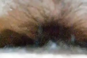 Fucking my wife's constricted slit in missionary position