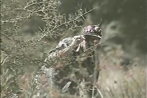Blonde beauty sucks a weiner outdoors and acquires screwed hard