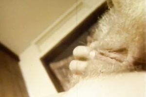 Hot classic honey with bushy beaver masturbating on the ottoman