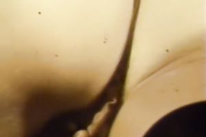 Hot classic honey with bushy beaver masturbating on the ottoman