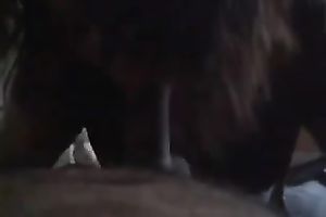 Chubby Asian whore sucks my cock and doesn't desire to stop