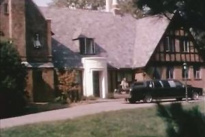 Kinky dawg pleads black head salacious playgirl to engulf this chab nipps