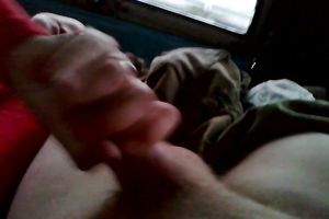 My dark-haired paramour sucks my dong ardently in a car