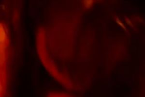 Lustful big beautiful woman works on my ramrod in POV video and eats the ball batter